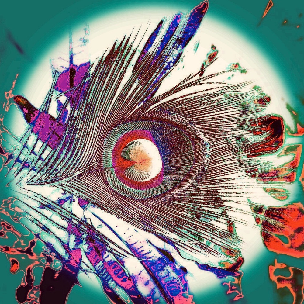 Meet your Posher, Andrea